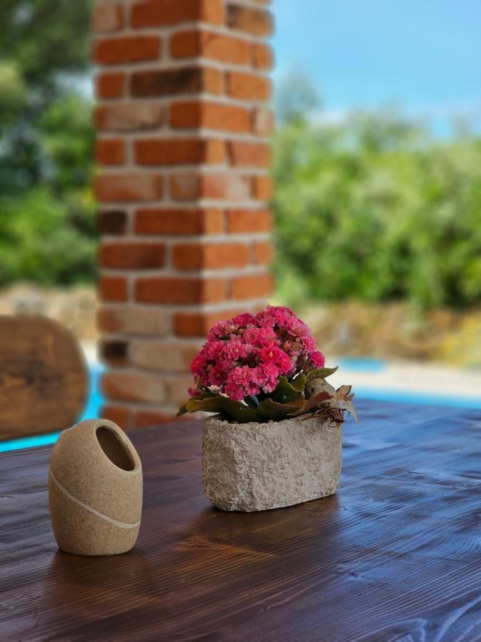 Holiday Homes Sintija Kampor المظهر الخارجي الصورة